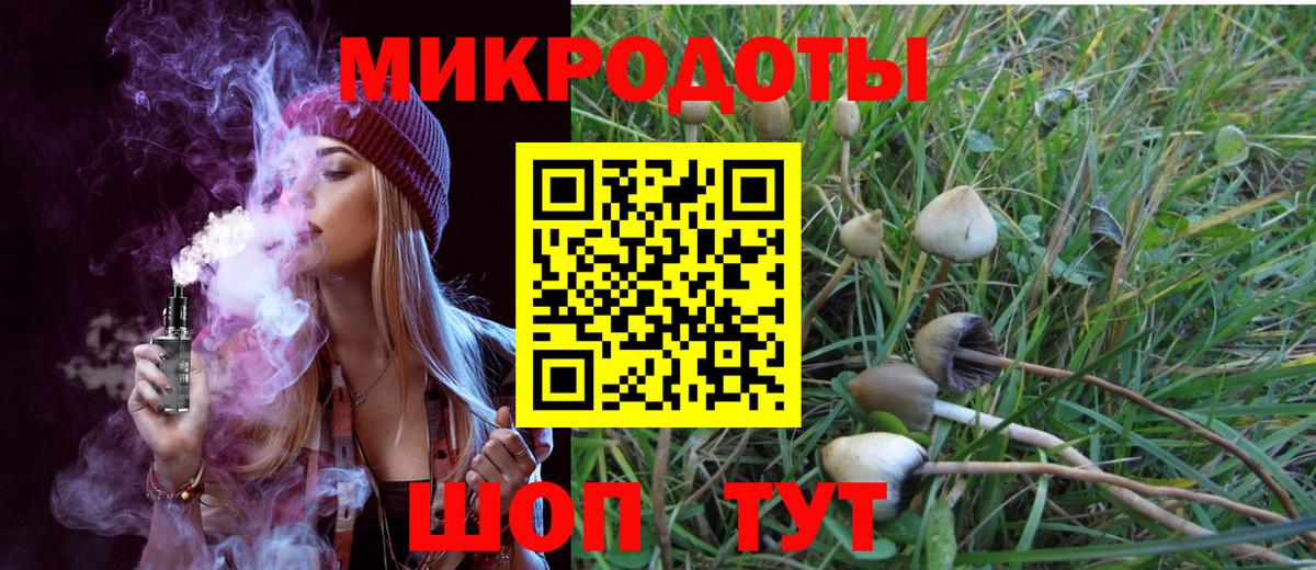 Галлюциногенные грибы Psilocybe Заволжье